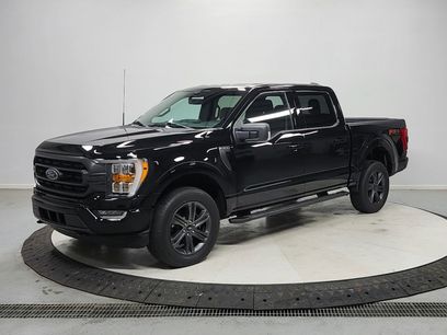 Used 2023 Ford F150 XLT w/ Equipment Group 302A High