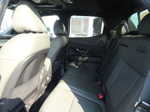 Used 2024 Hyundai Santa Cruz Limited image 11