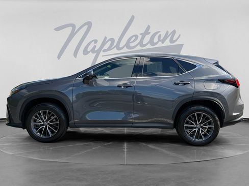 Used 2024 Lexus NX 350 AWD w/ Cold Area Package image 4