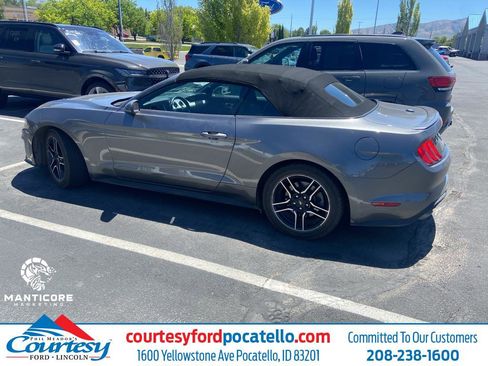 Used 2021 Ford Mustang Premium RWD image 1