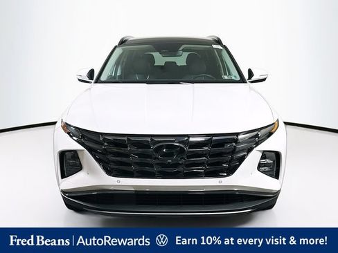 Used 2023 Hyundai Tucson Limited AWD/4WD image 2