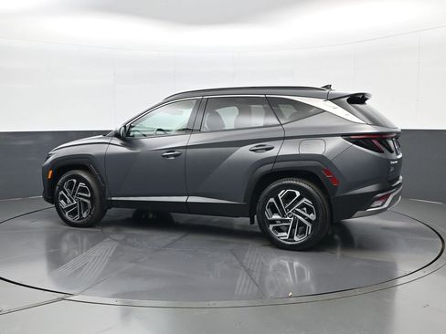 Certified 2025 Hyundai Tucson Limited image 7