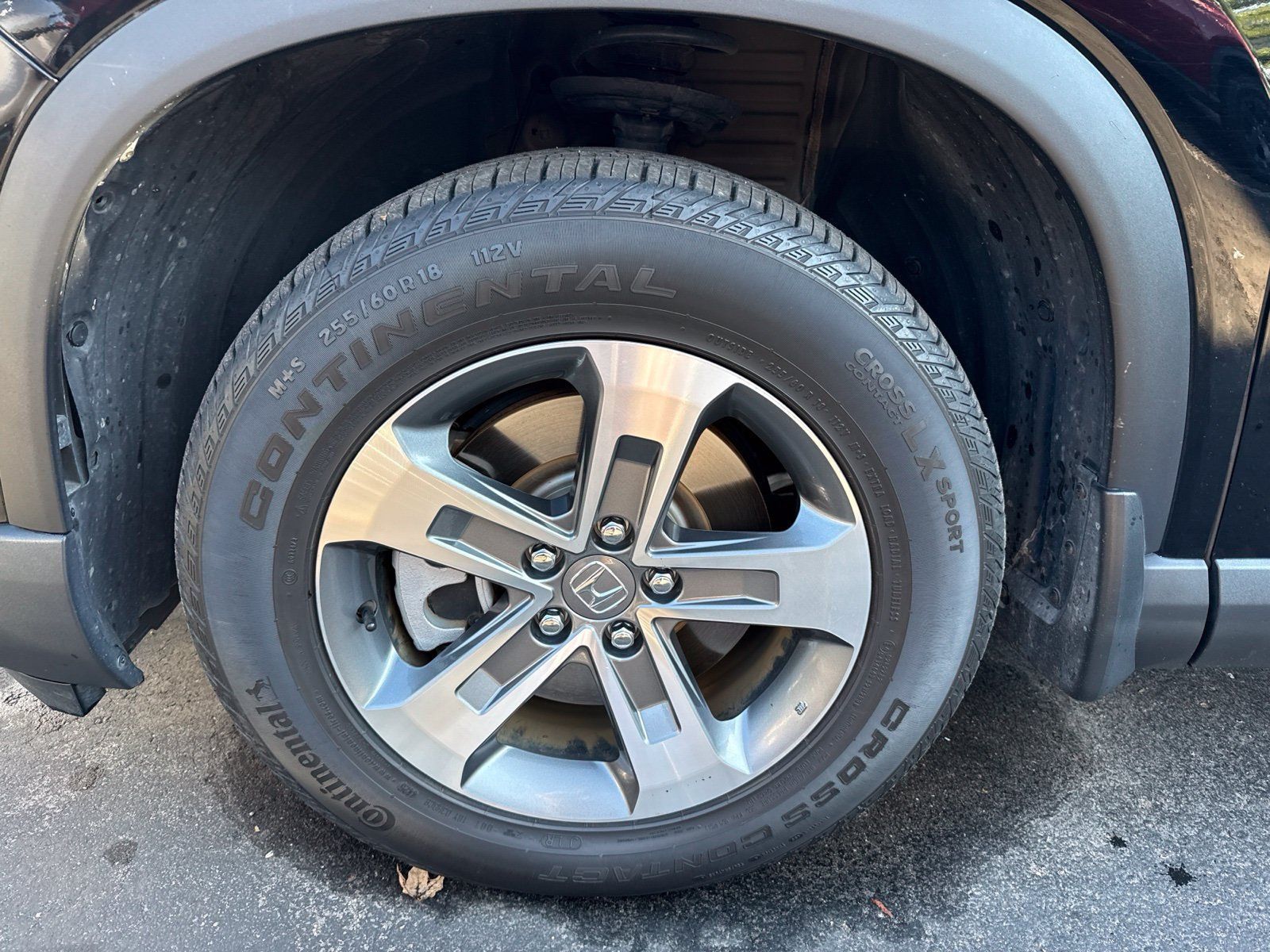 Used 2025 Honda Pilot EX-L image 3