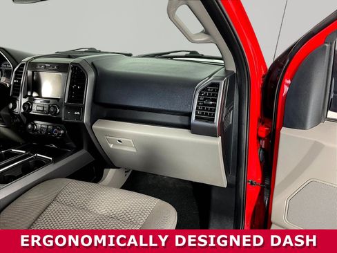 Used 2019 Ford F150 XLT w/ Equipment Group 302A Luxury AWD/4WD image 27