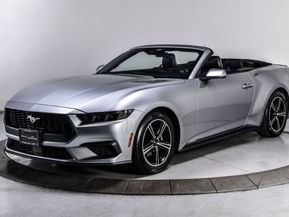 Used 2025 Ford Mustang Premium