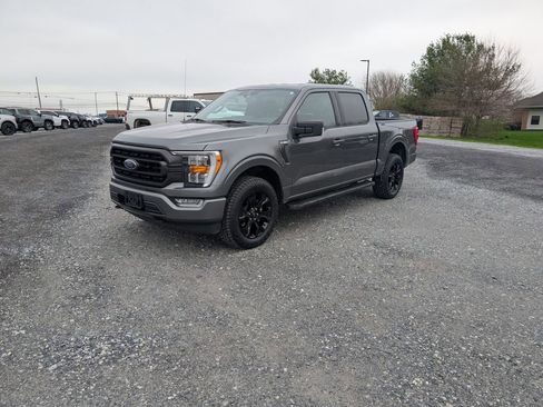 Used 2023 Ford F150 XLT w/ Equipment Group 302A High image 2