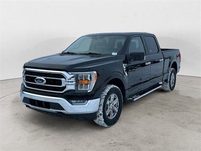 Certified 2022 Ford F150 XLT w/ Equipment Group 302A High