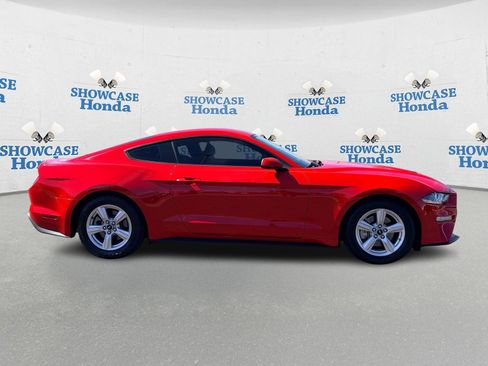 Used 2019 Ford Mustang Coupe image 8