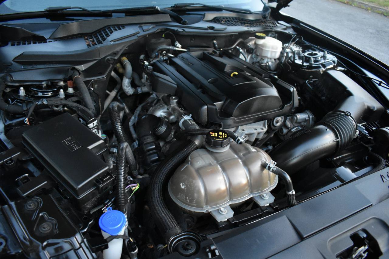 Used 2019 Ford Mustang Coupe RWD image 33