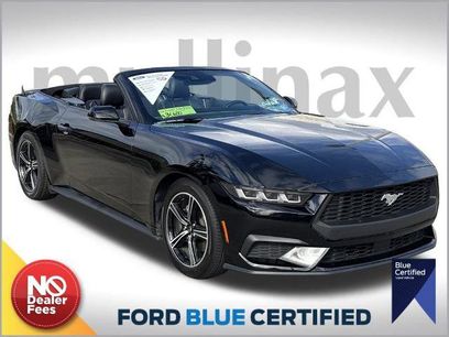 Certified 2024 Ford Mustang Premium