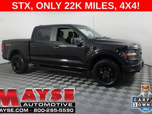 Used 2024 Ford F150 STX w/ STX Black Appearance Package AWD/4WD image 1