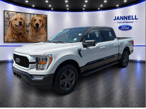 Used 2023 Ford F150 XLT w/ Equipment Group 302A High AWD/4WD image 1