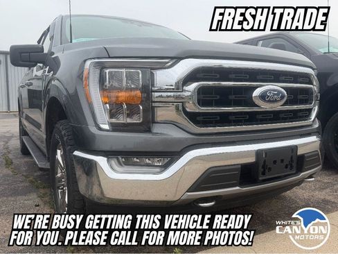 Used 2021 Ford F150 XLT w/ Equipment Group 302A High AWD/4WD image 1