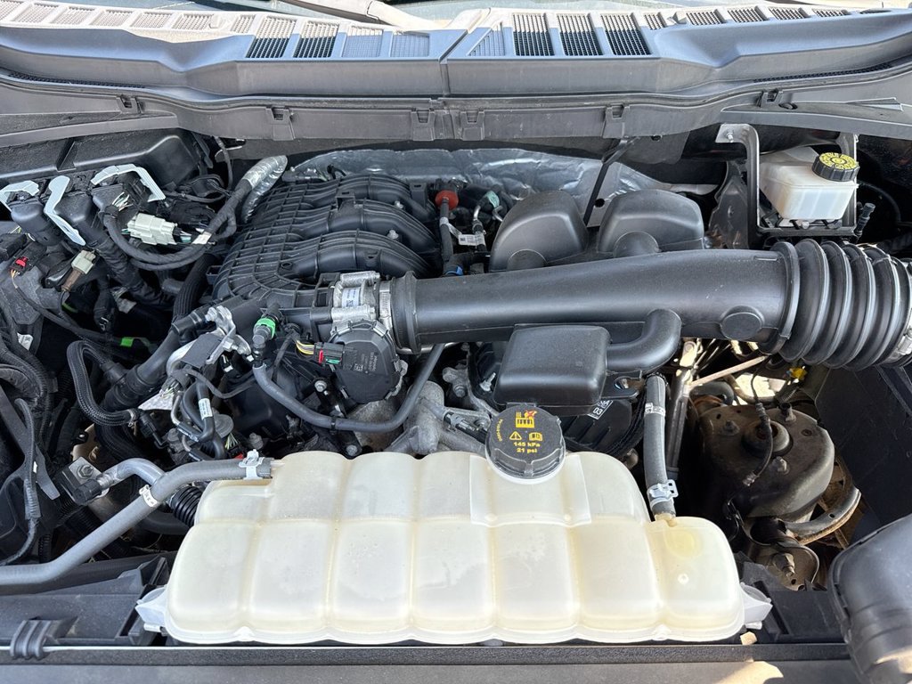 Used 2021 Ford F150 XL w/ Equipment Group 101A High AWD/4WD image 25