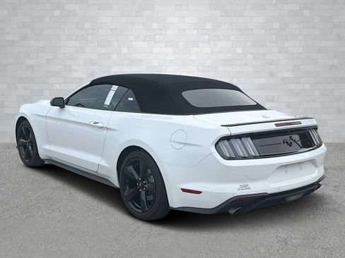 Used 2023 Ford Mustang Premium w/ Equipment Group 201A image 6