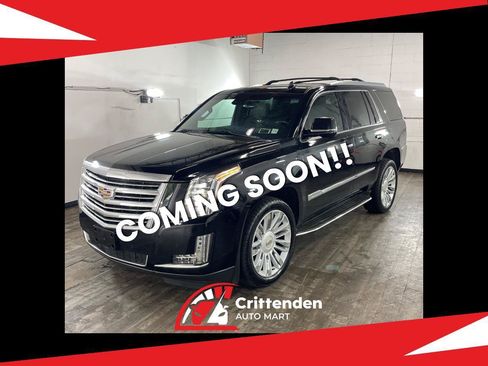Used 2016 Cadillac Escalade Platinum AWD/4WD image 1