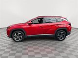 Used 2022 Hyundai Tucson SEL w/ Convenience + Premium Package image 6