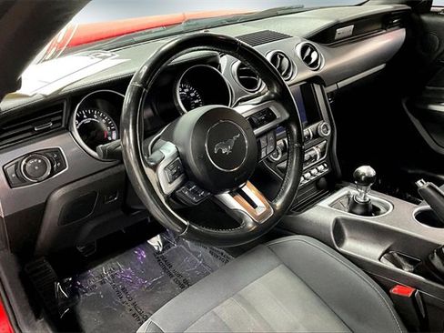 Used 2019 Ford Mustang GT w/ Equipment Group 301A image 16