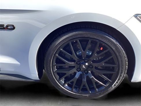 Used 2017 Ford Mustang GT w/ GT Performance Package image 12