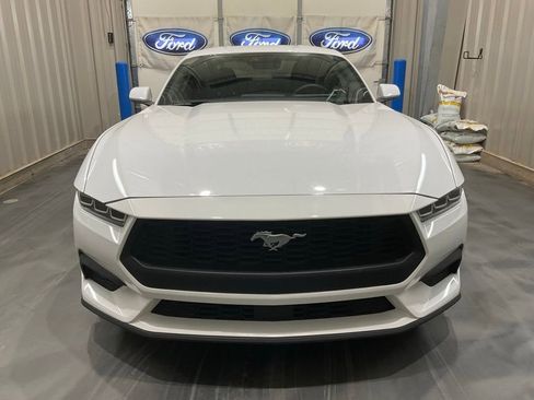 Used 2024 Ford Mustang Coupe image 2