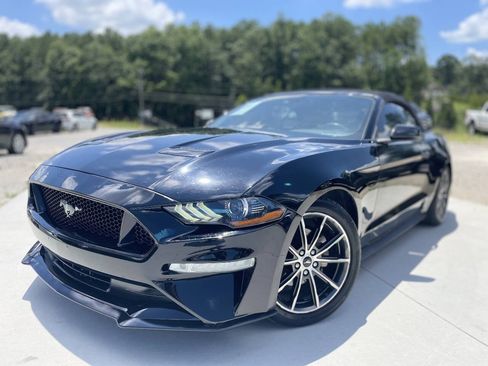 Used 2019 Ford Mustang Premium w/ Equipment Group 201A RWD image 3