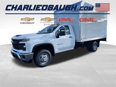 New 2025 Chevrolet Silverado 3500 W/T w/ Snow Plow Prep Package