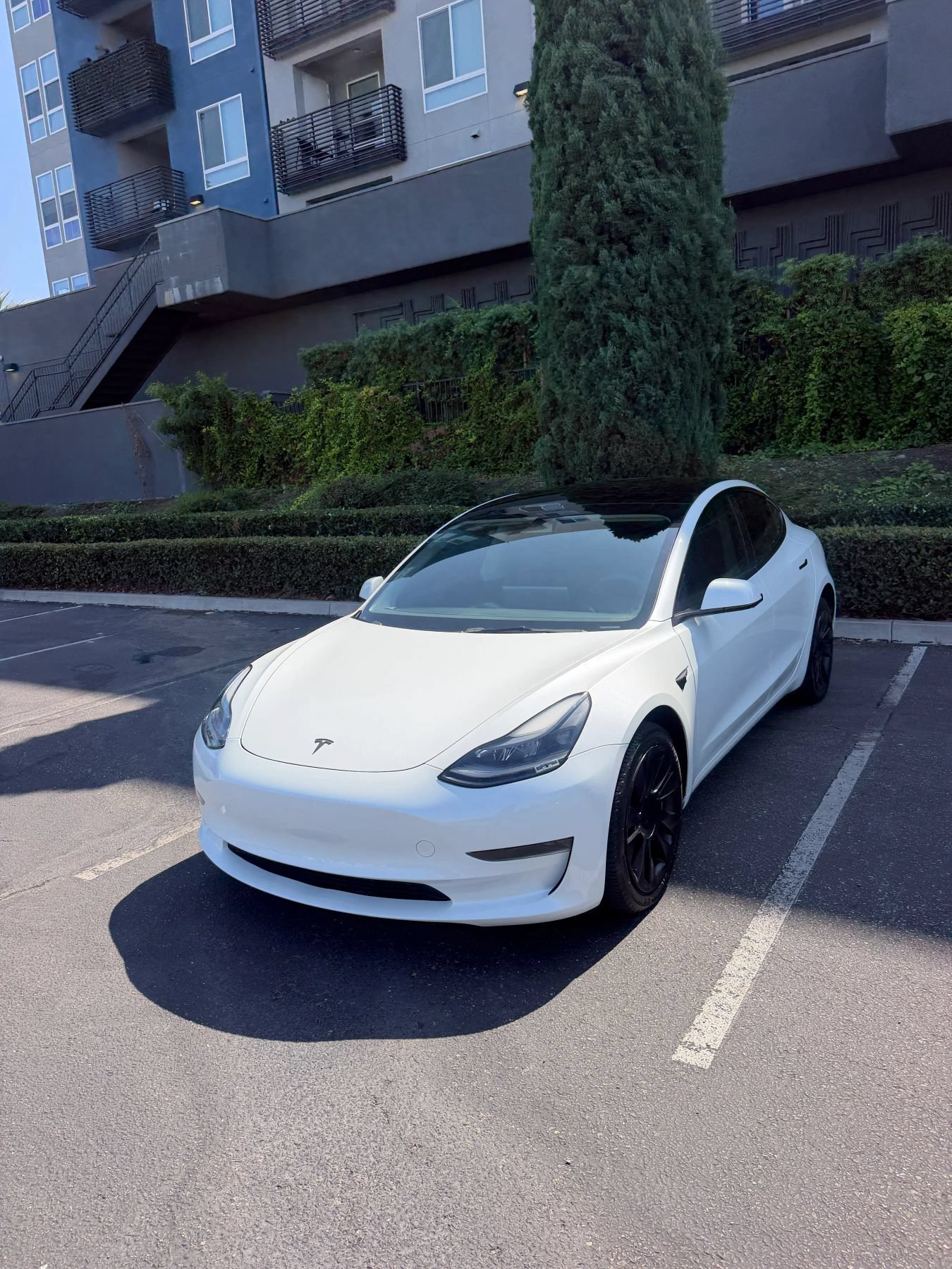 Used 2023 Tesla Model 3 Standard Range RWD image 7