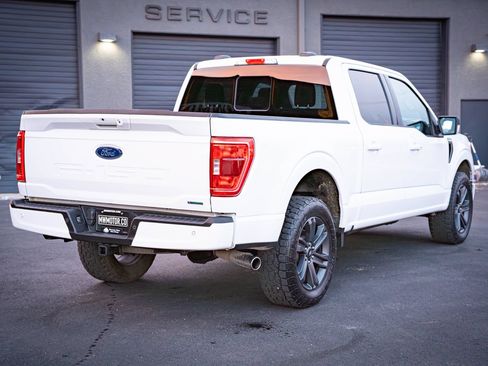Used 2023 Ford F150 XLT w/ Equipment Group 302A High AWD/4WD image 8