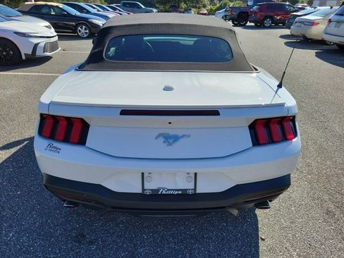 Used 2024 Ford Mustang Premium image 11