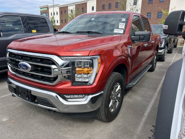 Used 2023 Ford F150 XLT w/ Equipment Group 302A High AWD/4WD image 1
