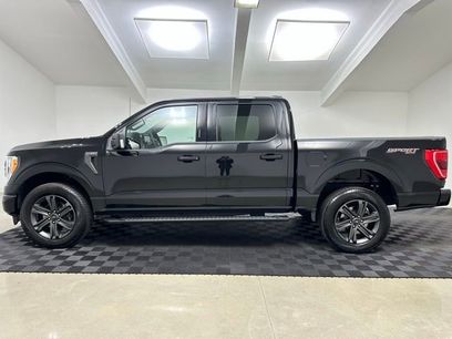 New 2023 Ford F150 XLT w/ Equipment Group 302A High