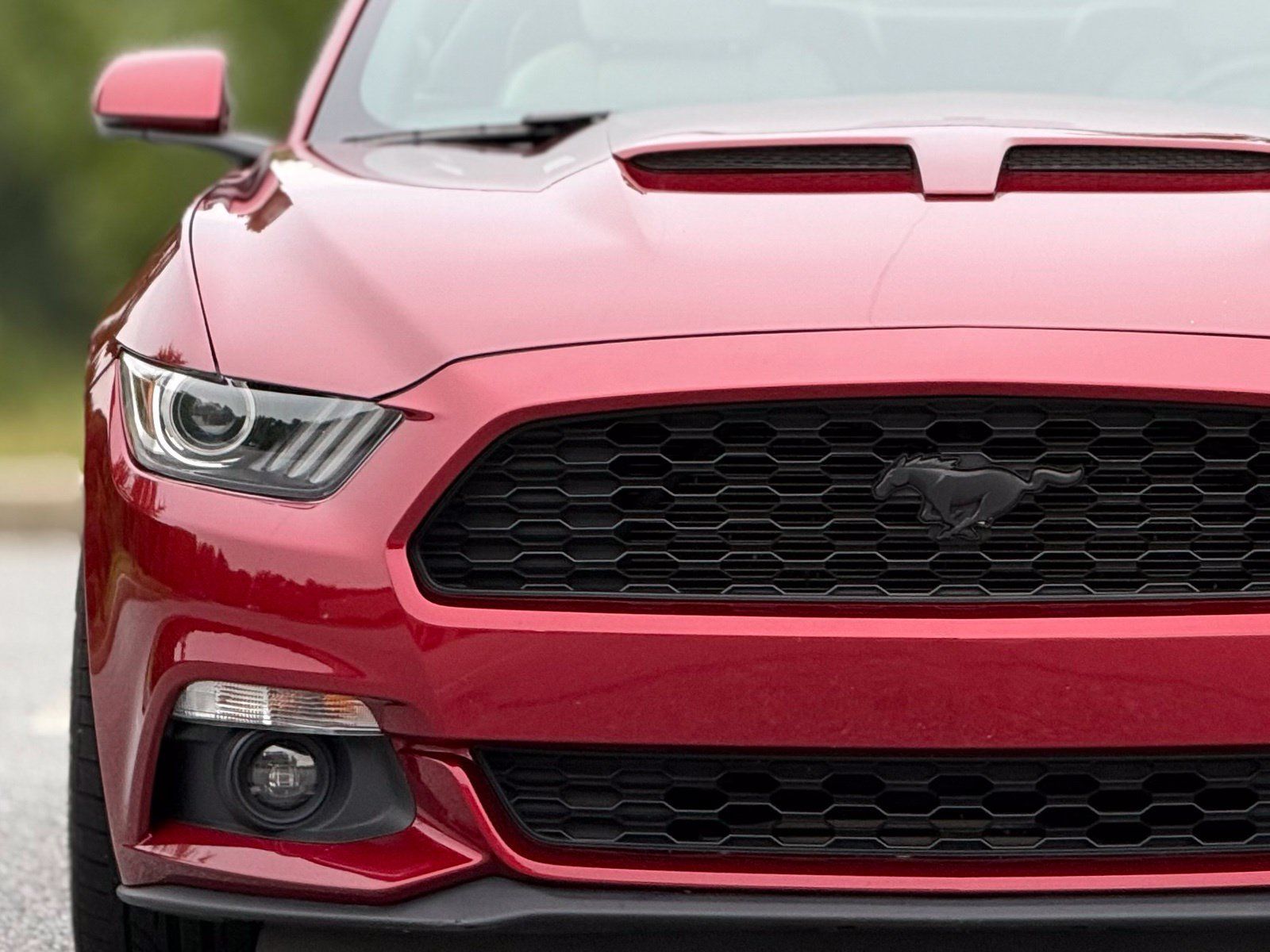 Used 2017 Ford Mustang Premium RWD image 14