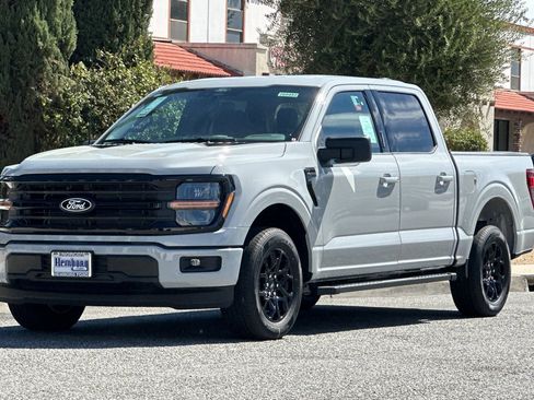 New 2026 Ford F150 XLT w/ XLT Black Appearance Package RWD image 8