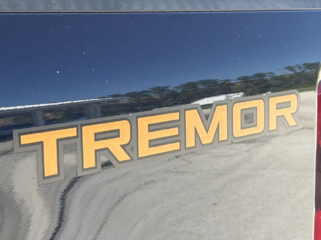 Used 2024 Ford F250 King Ranch w/ Tremor Off-Road Package AWD/4WD image 17