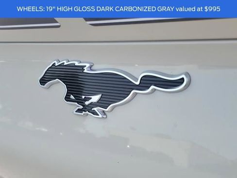 New 2025 Ford Mustang Mach-E GT w/ Interior Protection Package image 8