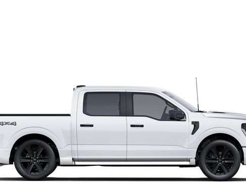 New 2025 Ford F150 STX w/ LOBO Package image 5