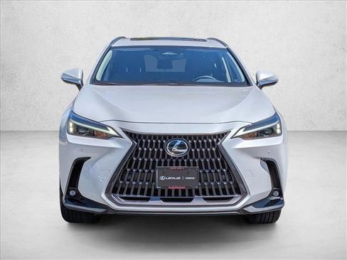 Used 2025 Lexus NX 350h AWD w/ Premium Package image 2