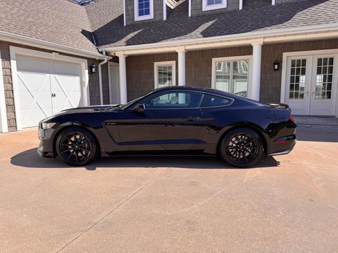 Used 2016 Ford Mustang Shelby GT350 w/ Track Package image 3