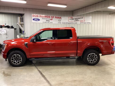 Used 2023 Ford F150 XLT w/ Equipment Group 302A High image 2