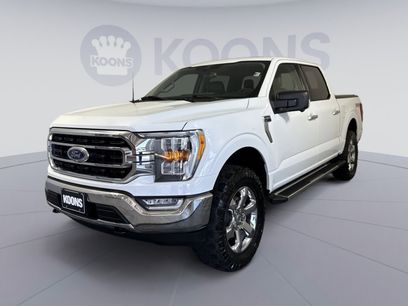 Used 2023 Ford F150 XLT w/ Equipment Group 302A High