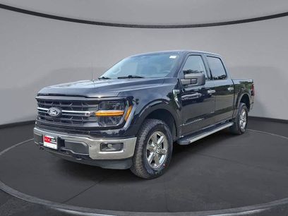 Certified 2025 Ford F150 XLT w/ Equipment Group 301A Standard