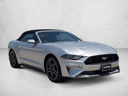 Used 2019 Ford Mustang Premium RWD image 3