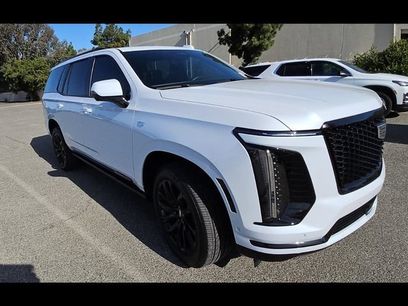 Used 2026 Cadillac Escalade Sport w/ LPO, ONYX Package