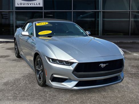 Used 2024 Ford Mustang Premium RWD image 1