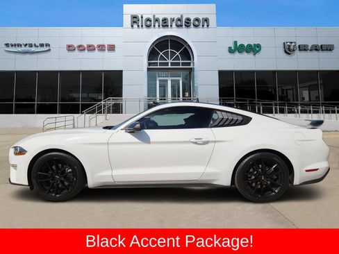 Used 2019 Ford Mustang Coupe w/ Black Accent Package RWD image 3