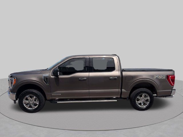 Used 2023 Ford F150 XLT w/ Equipment Group 302A High AWD/4WD image 2