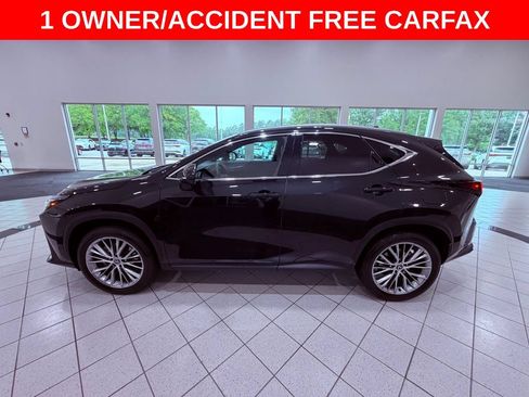 Certified 2025 Lexus NX 350h AWD w/ Cold Area Package image 4