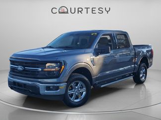 Used 2025 Ford F150 XLT w/ Equipment Group 301A Standard 360° Tour