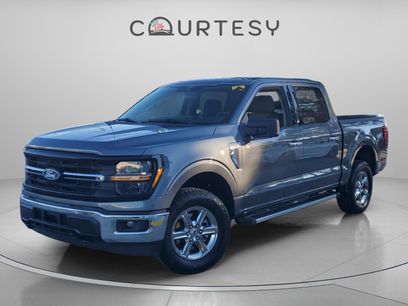 Used 2025 Ford F150 XLT w/ Equipment Group 301A Standard