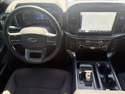 Used 2023 Ford F150 XLT w/ Equipment Group 302A High